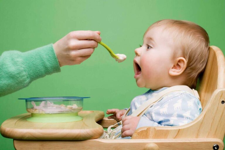 Menu món ngon cho bé đang tập ăn cơm để các mẹ trổ tài
